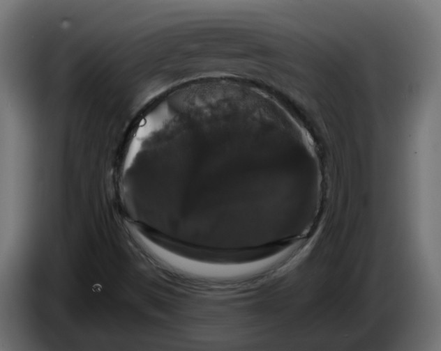 X0000083571497200703021732