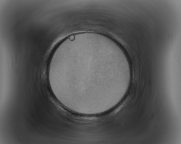 X0000083571498200703021732