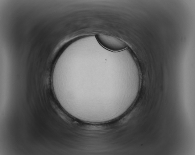 X0000083571499200703021732