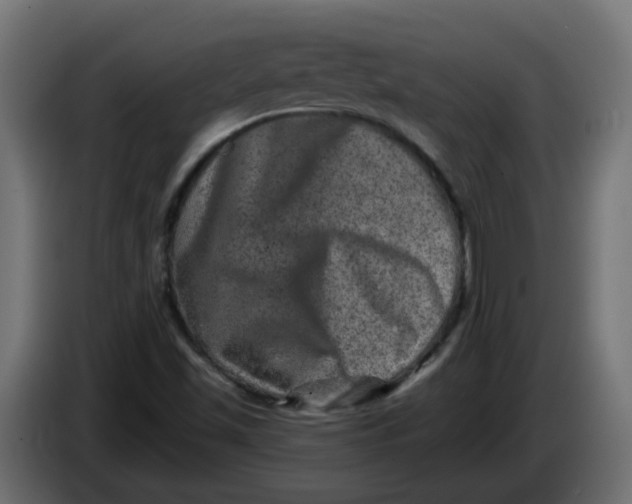 X0000083571501200703021732