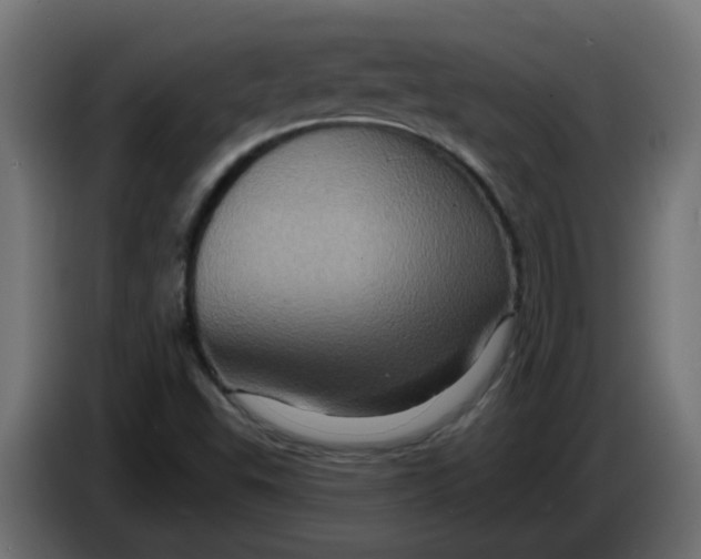 X0000083571503200703021732
