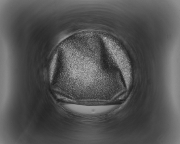 X0000083571505200703021732