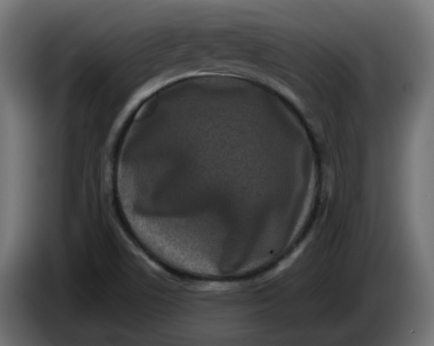 X0000083571506200703021732