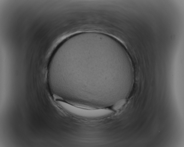 X0000083571507200703021733
