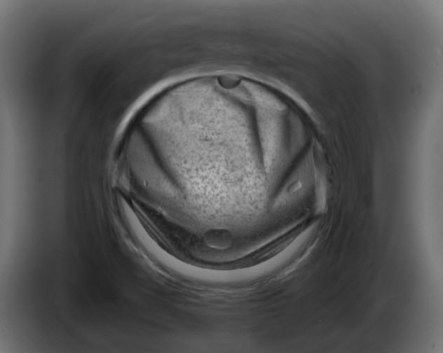 X0000083571510200703021733