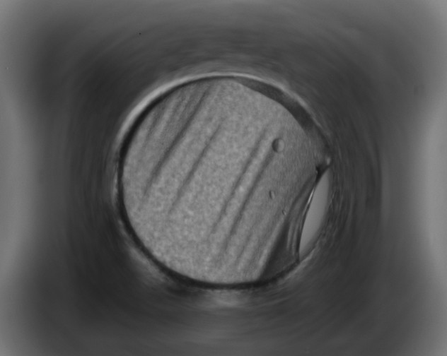 X0000083571511200703021733