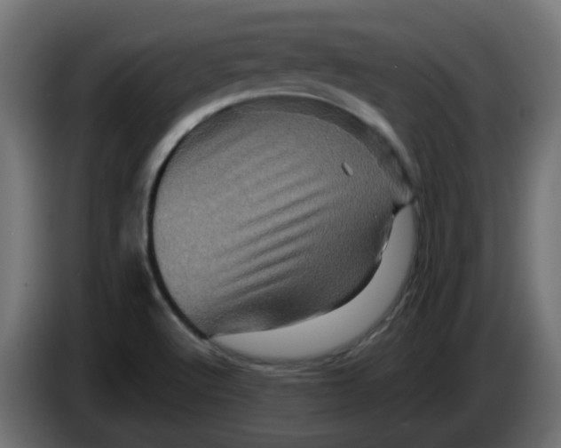 X0000083571512200703021733