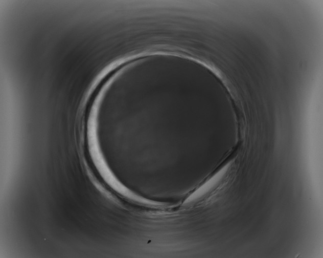 X0000083571515200703021733