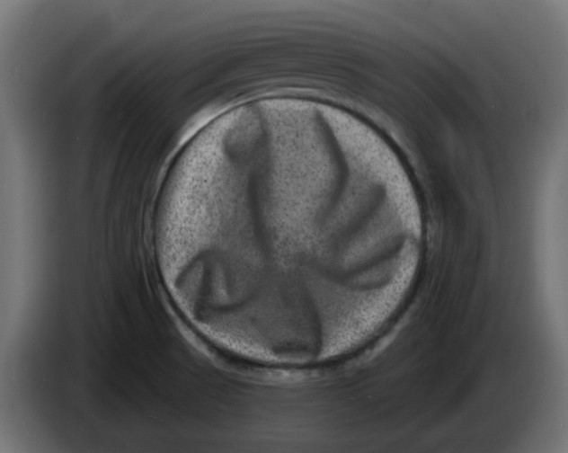 X0000083571521200703021733