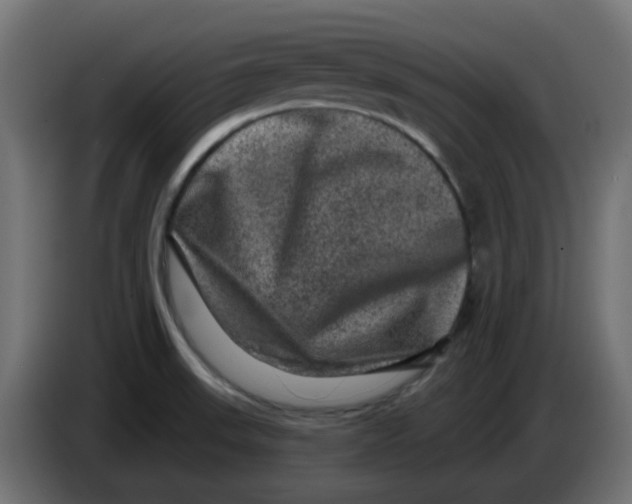 X0000083571523200703021733