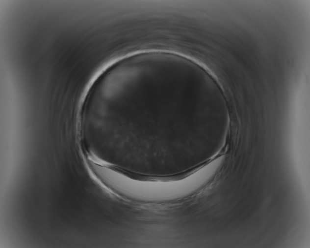 X0000083571527200703021733