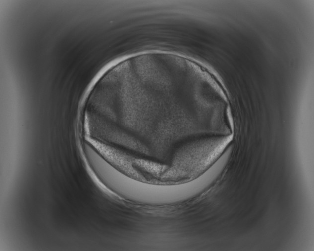 X0000083571531200703021733