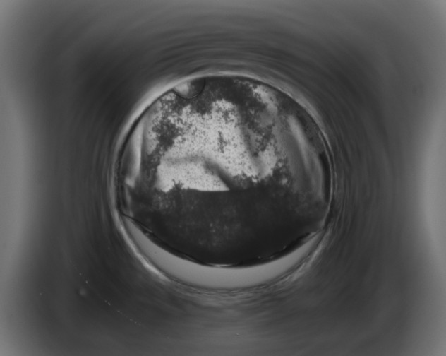 X0000083571533200703021733