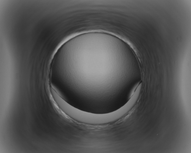X0000083571534200703021733