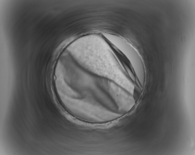 X0000083570001200703091647