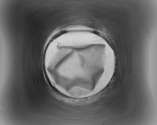 X0000083570003200703091647