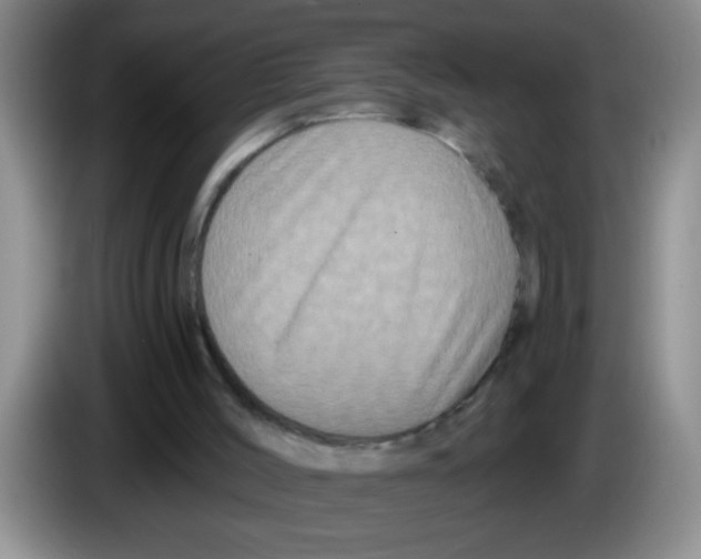X0000083570004200703091647