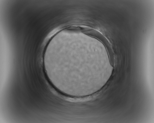 X0000083570005200703091647