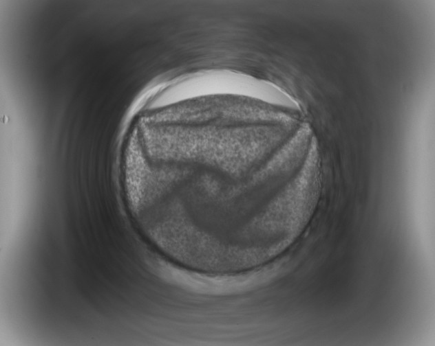 X0000083570006200703091647
