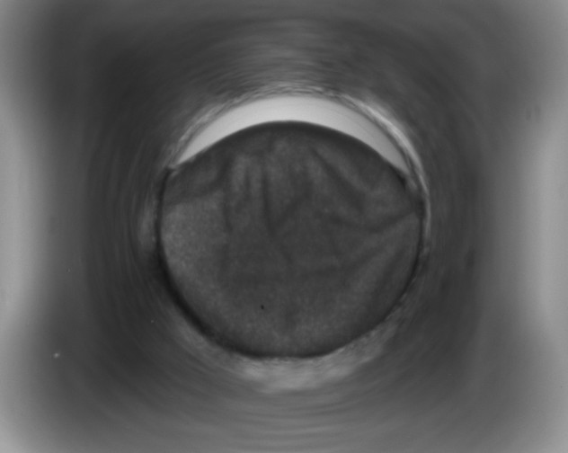 X0000083570009200703091647