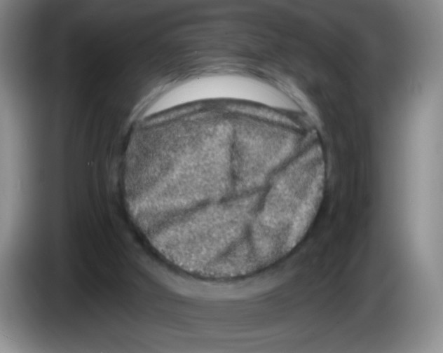 X0000083570010200703091647