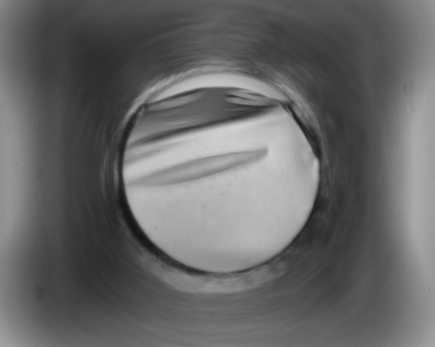 X0000083570011200703091647