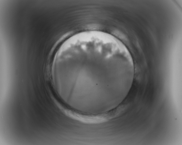 X0000083570012200703091647