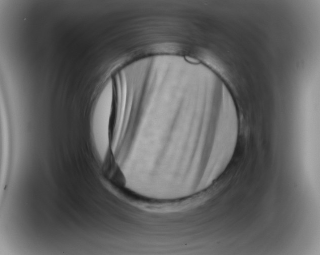 X0000083570013200703091647