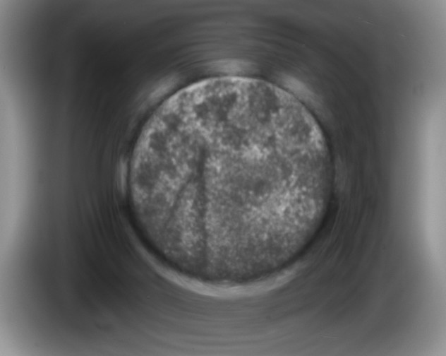 X0000083570014200703091647