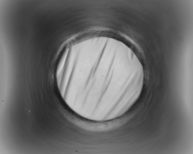 X0000083570015200703091647