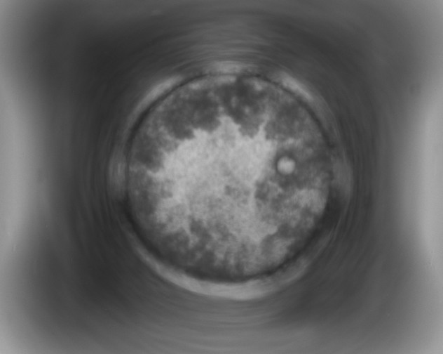 X0000083570016200703091647
