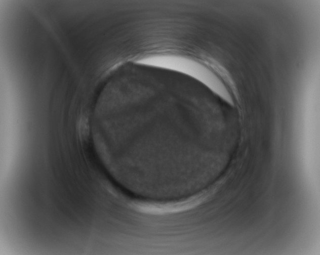 X0000083570017200703091647