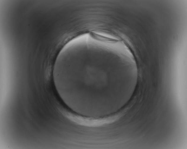 X0000083570018200703091647