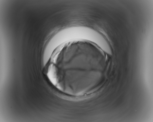 X0000083570019200703091647