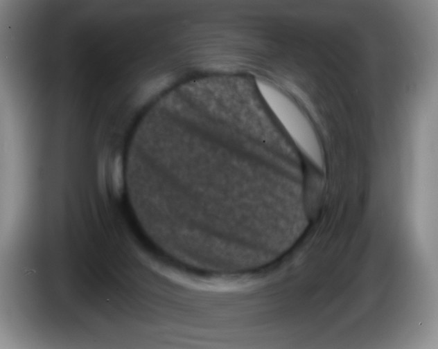 X0000083570020200703091647