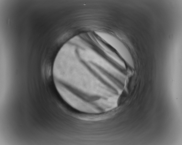 X0000083570021200703091647