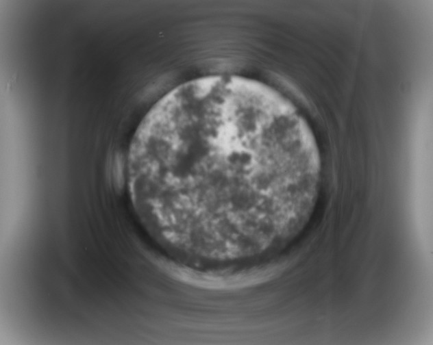 X0000083570022200703091647