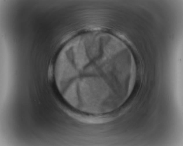 X0000083570024200703091647