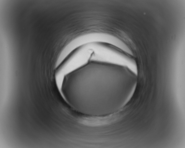 X0000083570025200703091647