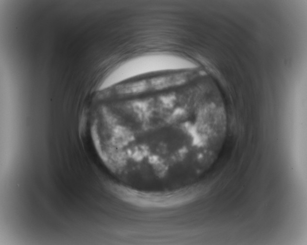 X0000083570026200703091647