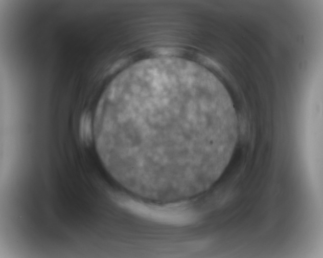 X0000083570028200703091647