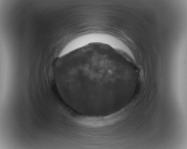 X0000083570029200703091647