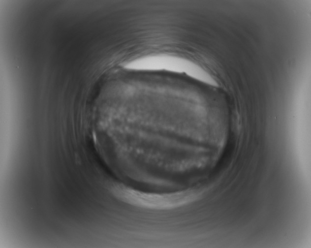 X0000083570030200703091647