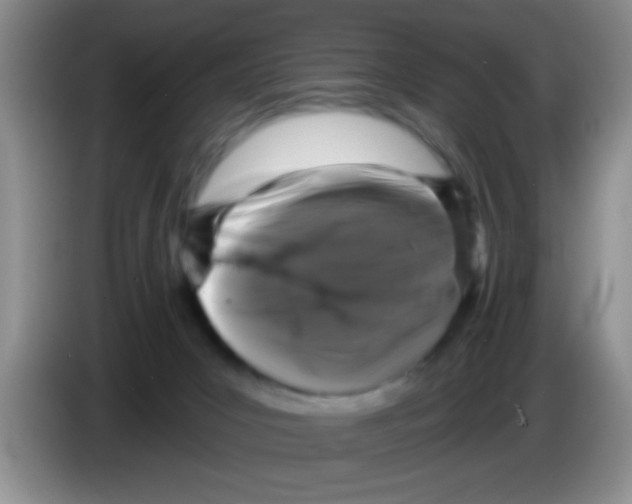 X0000083570031200703091647