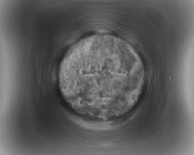 X0000083570032200703091647
