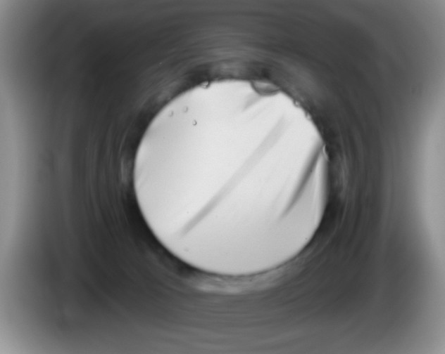 X0000083570033200703091647