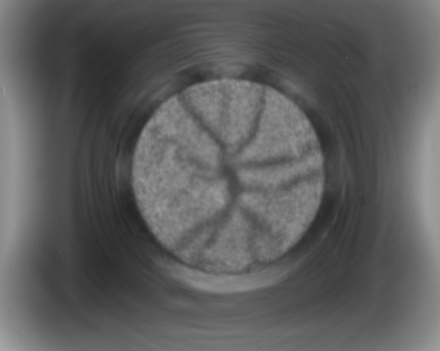 X0000083570034200703091647