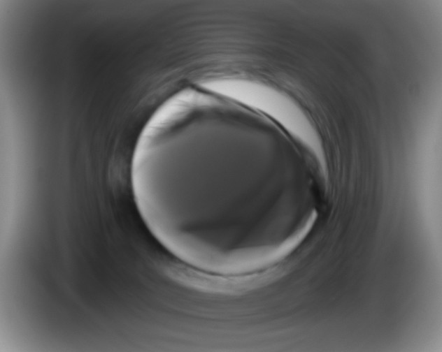 X0000083570035200703091647