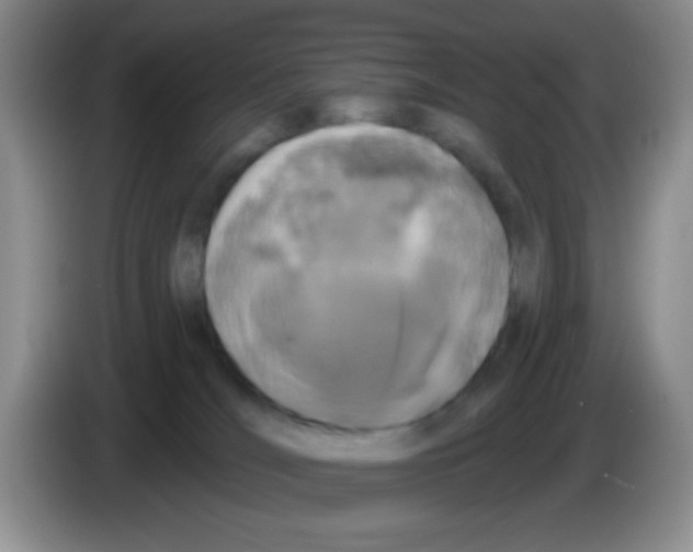 X0000083570036200703091647