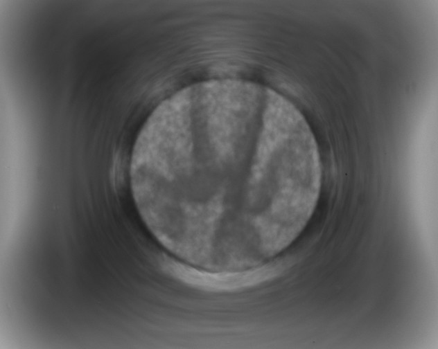 X0000083570038200703091647